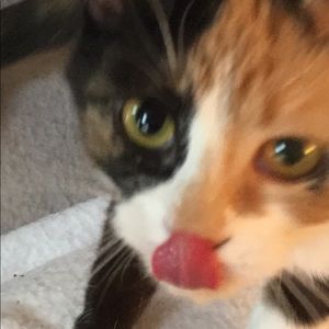 Meet your Posher, Cheri